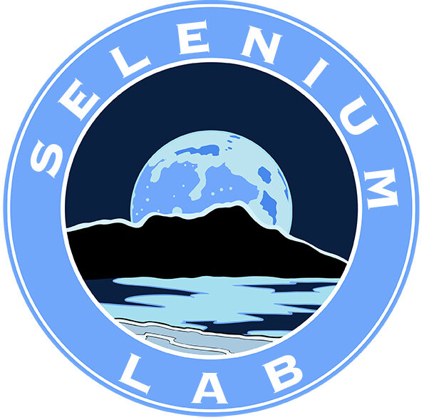 Selenium Lab